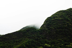 云雾缭绕的翠绿山峦