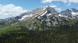壮丽雪山与葱郁山林景观