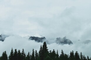 云雾缭绕的山林景观
