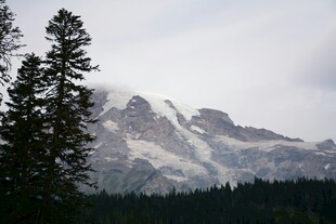 巍峨雪山与茂密森林景观