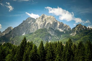 巍峨山峦下的葱郁森林