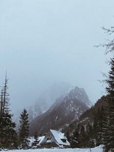 雾中雪山与林间小屋
