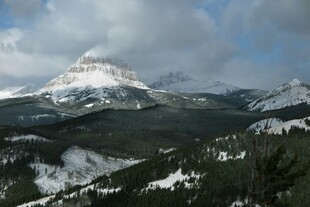 雪山森林壮丽自然景观