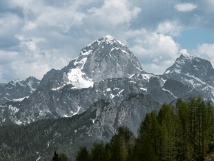 壮丽雪山与葱郁森林景观