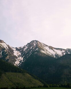雪山绿意美景