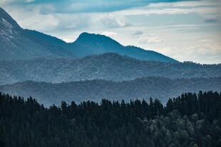 山峦森林间的静谧景致