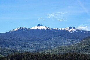 壮丽雪山与葱郁山林景观