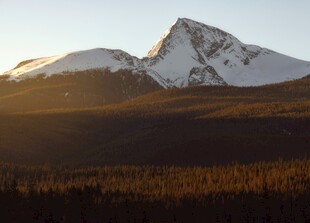 雪山夕照下的壮美山林