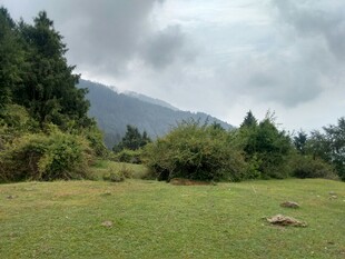山间绿野风景