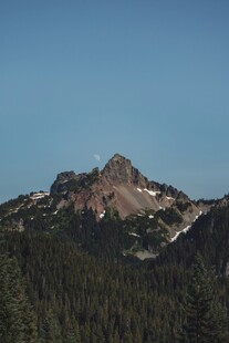 巍峨山峰与茂密森林景观