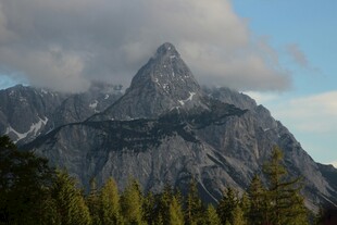 巍峨山峰与葱郁林木景观