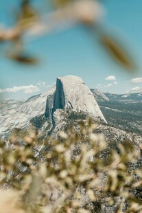 巍峨山峰与前景绿植景观