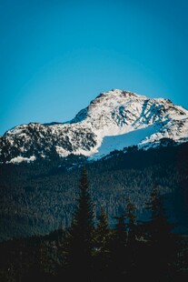 雪山远景 山林相伴