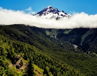 巍峨雪山下的葱郁山林