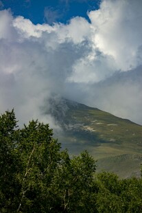 云雾缭绕的山林美景