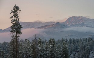 雪后山林与远处山峦美景