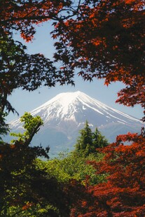 红叶映衬下的富士山美景