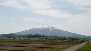田园间的雪山远景