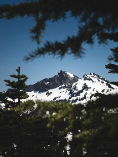 雪山松林美景