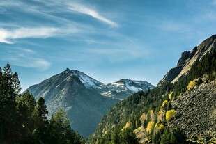 壮丽山景与葱郁森林