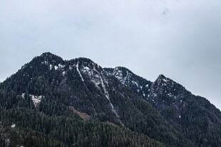 巍峨雪山与葱郁山林