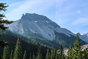 巍峨山峦与葱郁森林景观