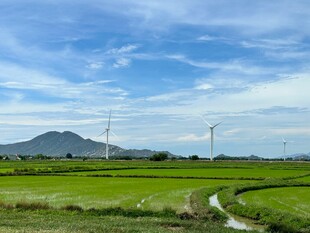 田园风光中的风力发电景观
