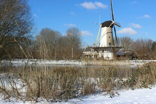冬日雪景中的古老风车
