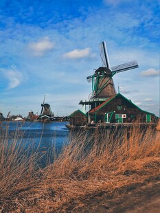 荷兰风车美景