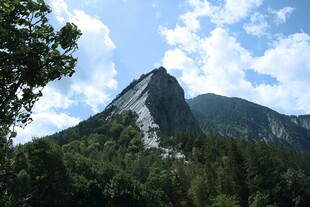 巍峨青山伴葱郁林木