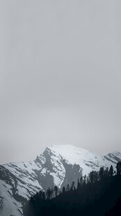 雪山森林景观