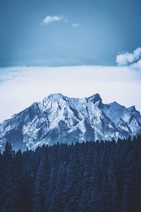 雪山森林美景