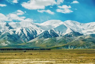 壮丽雪山下的广袤原野