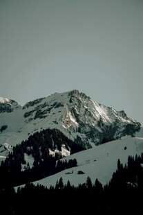 雪山风光 山林相伴