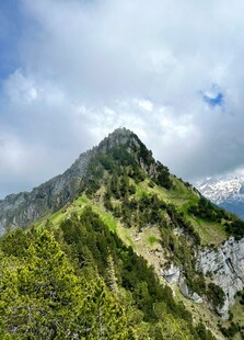 青山巍峨入云间