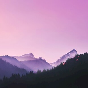 梦幻紫调山林暮色景观