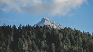 山林间的巍峨雪峰