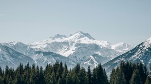 雪山下的茂密森林景观