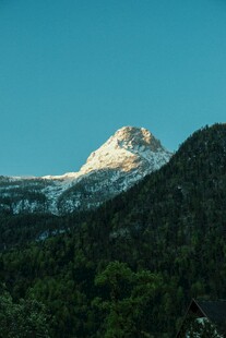 雪山下的葱郁山林