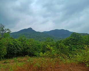 山间绿野风景