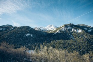 雪山下的葱郁山林