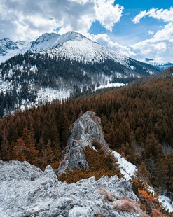 雪山森林壮丽自然景观