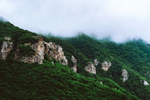 云雾缭绕的翠绿山峦