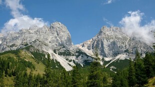 壮丽高山与葱郁森林景观