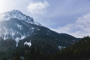 雪山森林美景