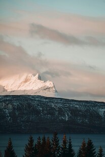 雪山森林美景