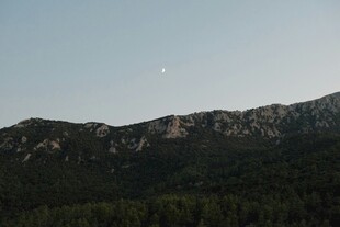 山间月色下的静谧山林
