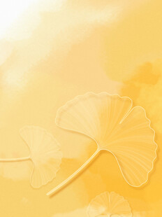 金黄银杏叶 诗意秋日景