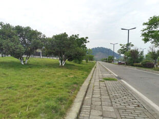 城郊道路