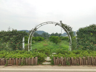圆形拱门